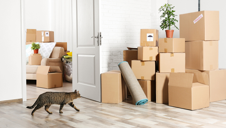 Как организовать переезд на новую квартиру самостоятельно?